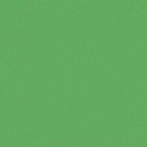 Paint and Paper Library Chelsea Green Paint